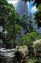 singapore-oct-2001-1_023